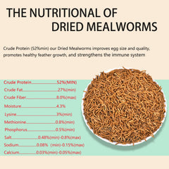 FCI GRUBS feather-growth-benefit image suggests healthier plumage with protein-dense snacks