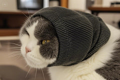 FDANDADE cat ear wrap noise-cancelling use during fireworks