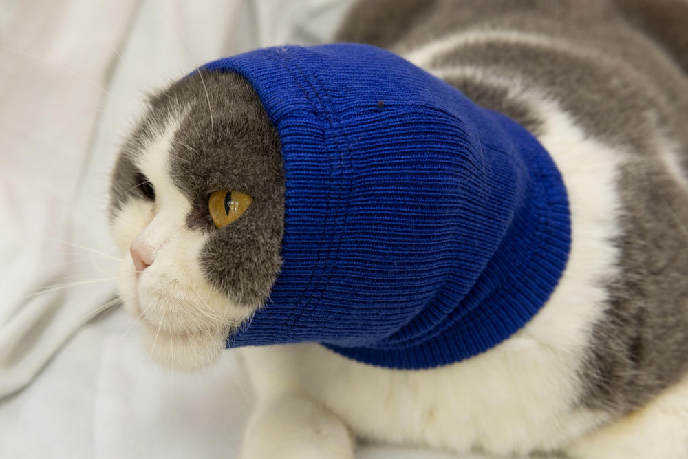 FDANDADE Cat Hematoma Ear Wrap Blue S side view highlighting lightweight stretch for comfort