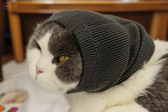 FDANDADE cat snood grooming assist grey during brushing or nail care