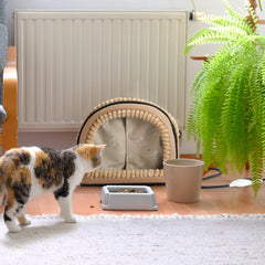 Fdceligoo smart heated cat bed cushion removable highlights washable comfort.