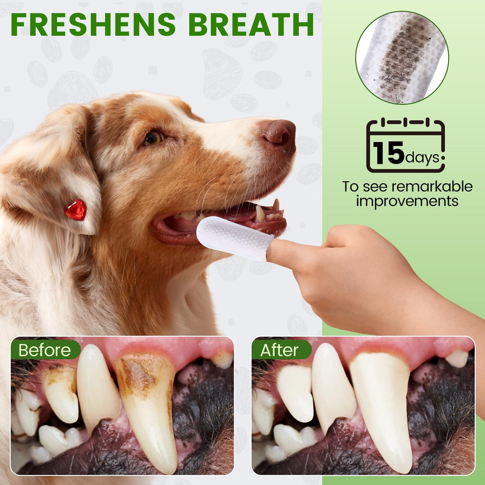Fdceligoo unscented label closeup highlights alcohol-free formula for pets.