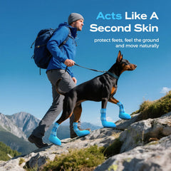 Fdceligoo waterproof dog boots shield paws from rain and puddles