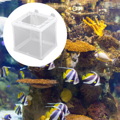 FdcLixuvol 2-pack fish incubator box packaging display ready for quick setup.