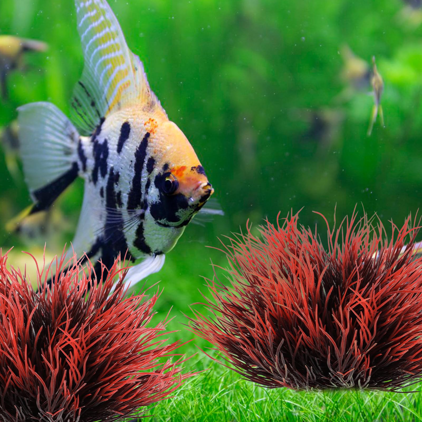 FdcLixuvol decorative plant decor with a stable base stays put in the tank.