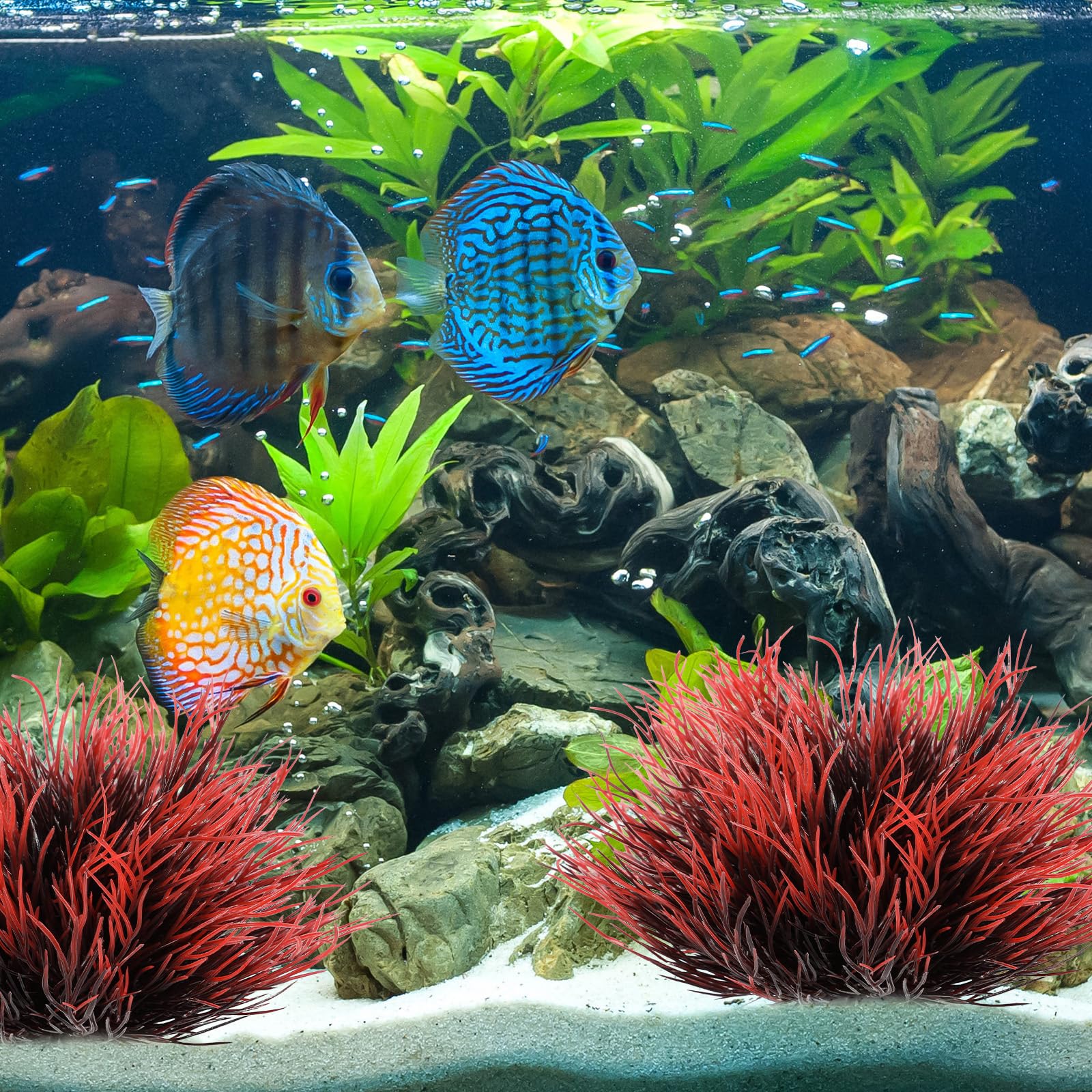 FdcLixuvol PVC plant decor creates a calm, engaging fish habitat.