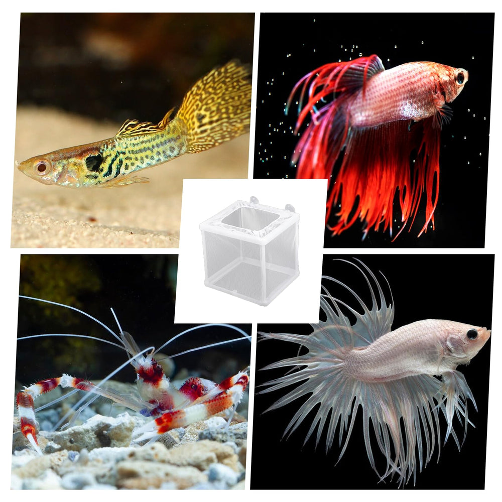 FdcLixuvol fry isolation use-case in breeding tanks.