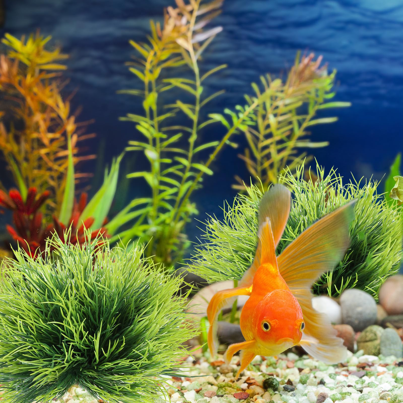 FdcLixuvol hard-base plant keeps decor from floating during water movement