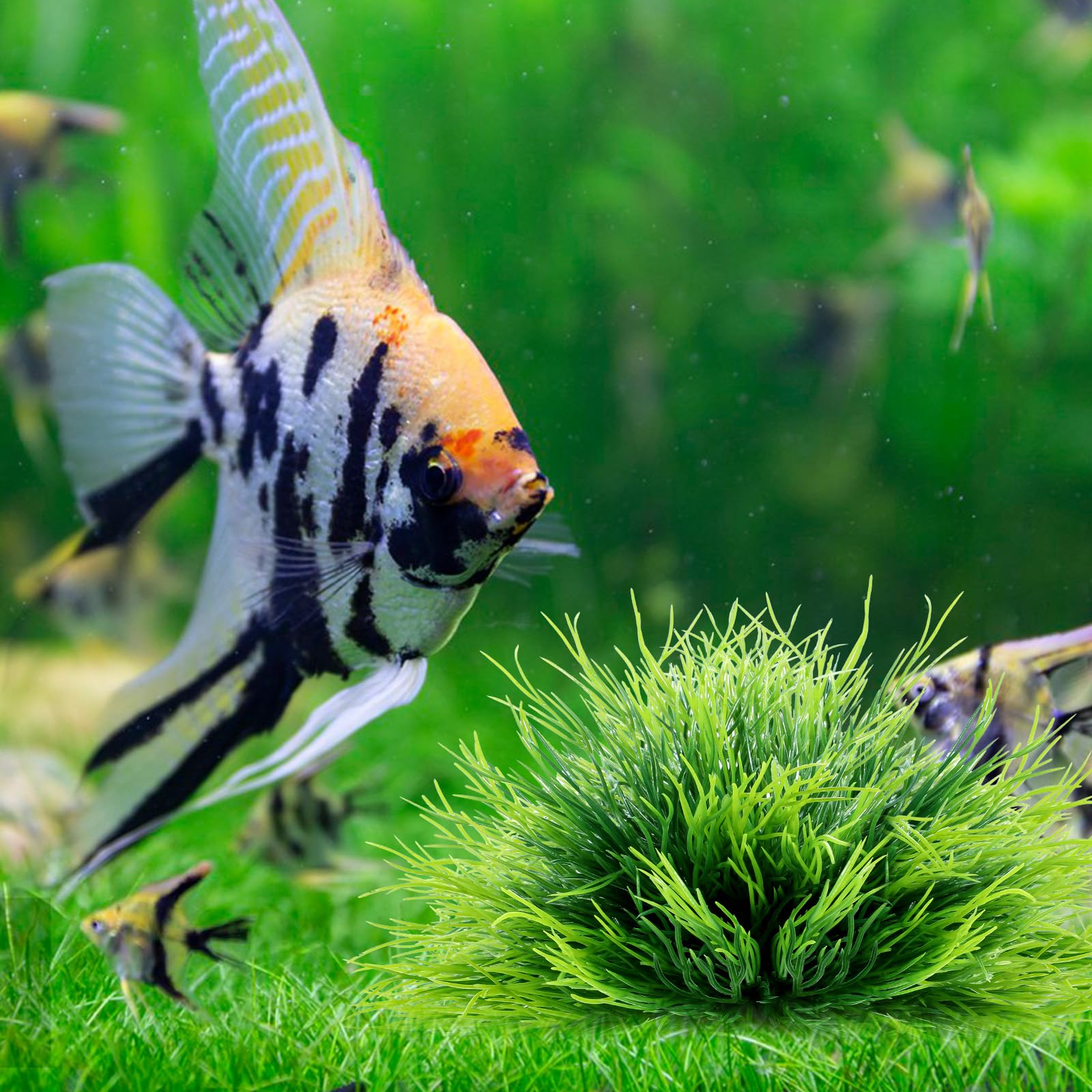 FdcLixuvol natural-look aquarium plant adds visual depth to your underwater landscape