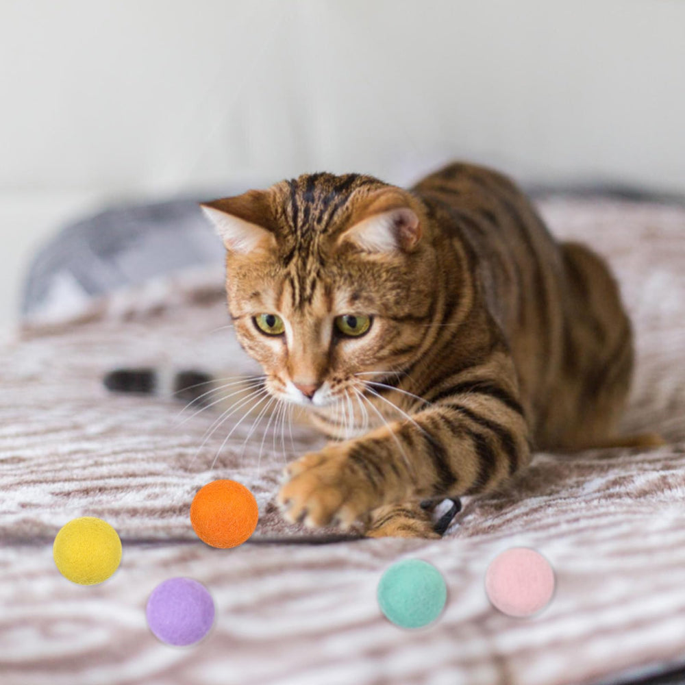 FdcZeyxior 14 pieces ready for interactive kitten fun and exercise