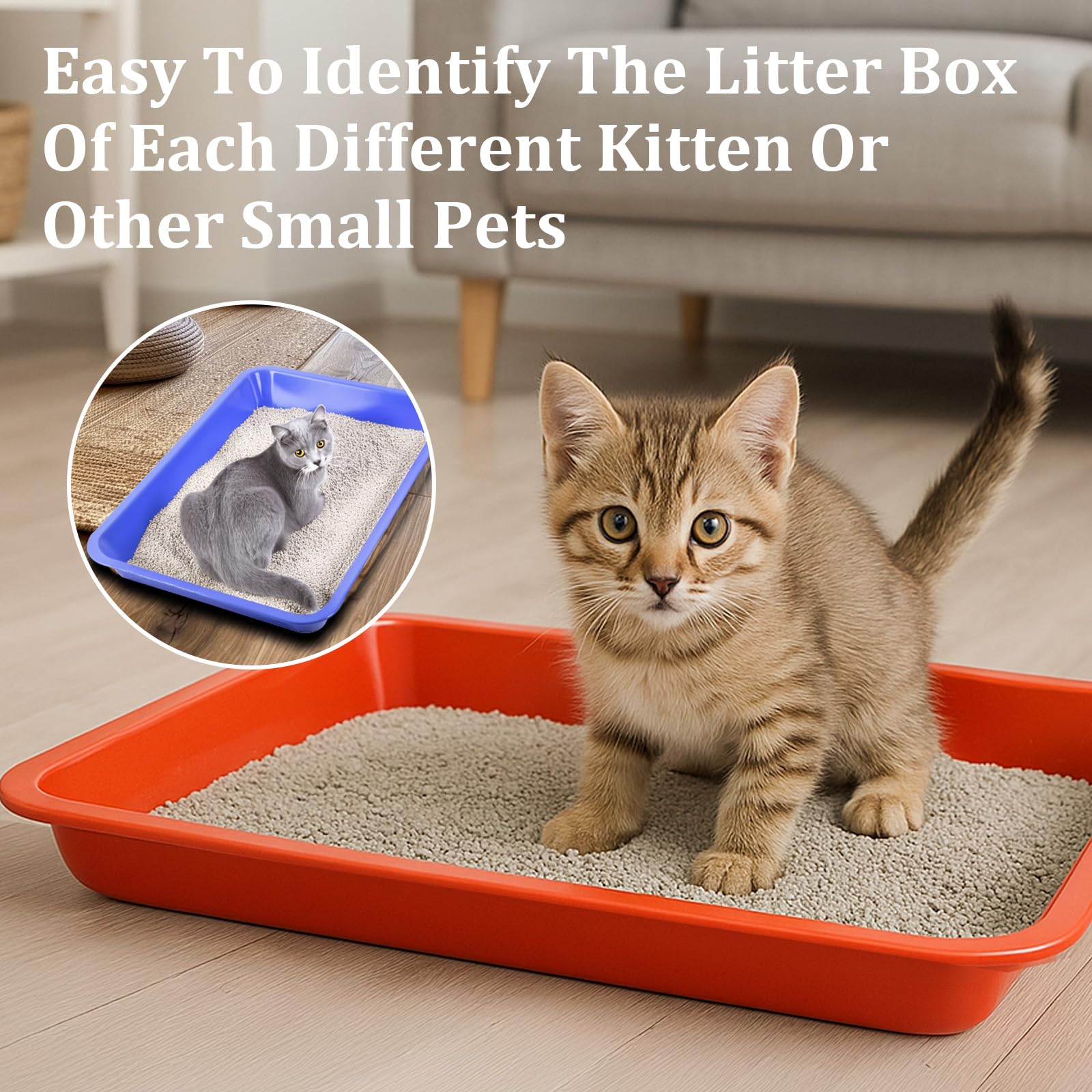 FdcZeyxior smooth-surface litter box reduces sticking