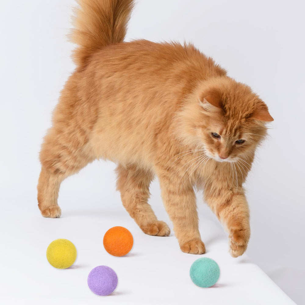 FdcZeyxior quiet-soft cat ball encourages gentle chasing and play