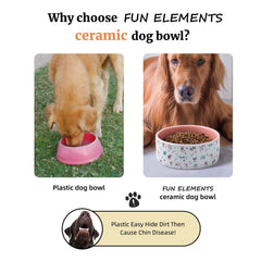 FE Fun Elements bowl is dishwasher-safe for easy cleaning.