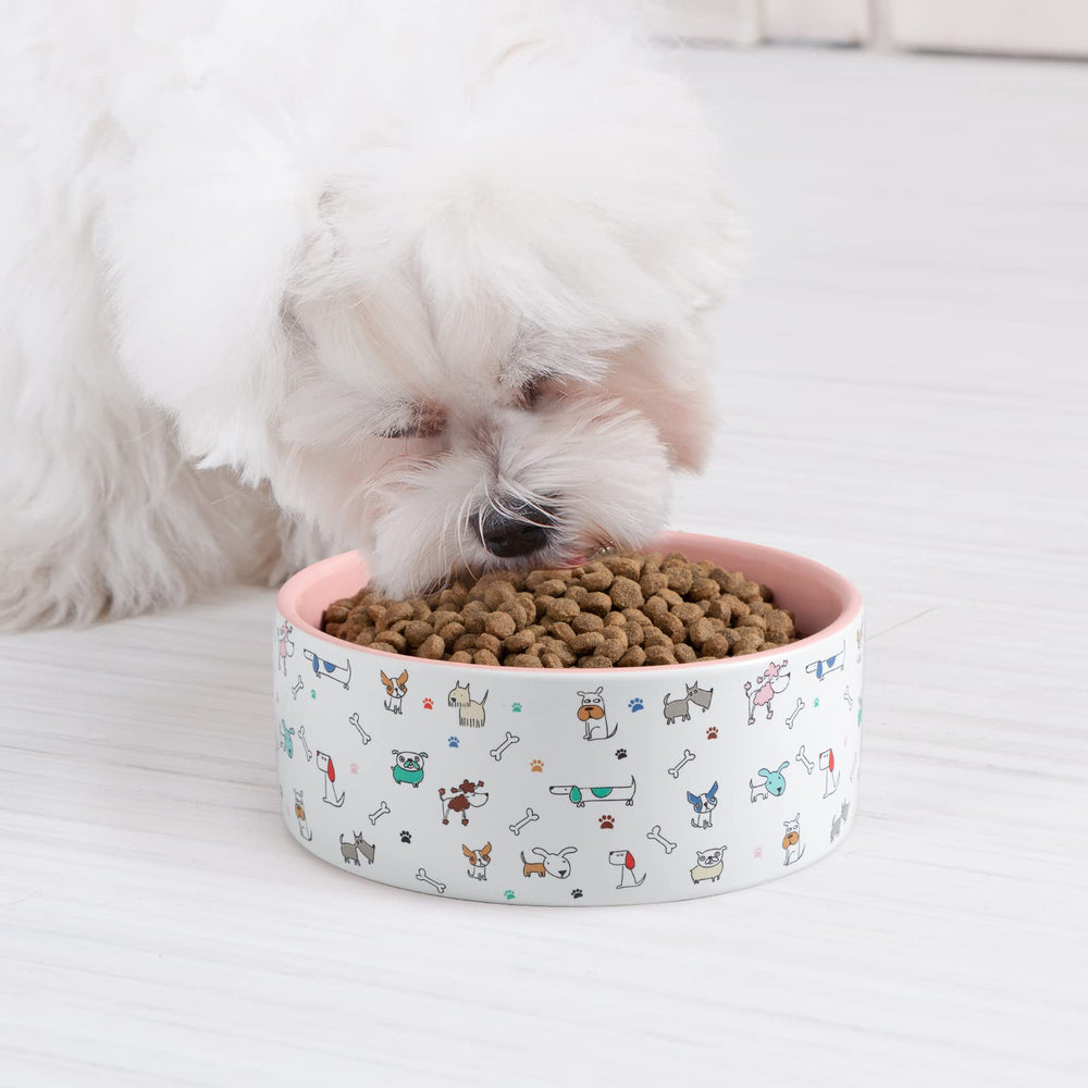 FE Fun Elements ceramic bowl is microwave-safe for warming meals.