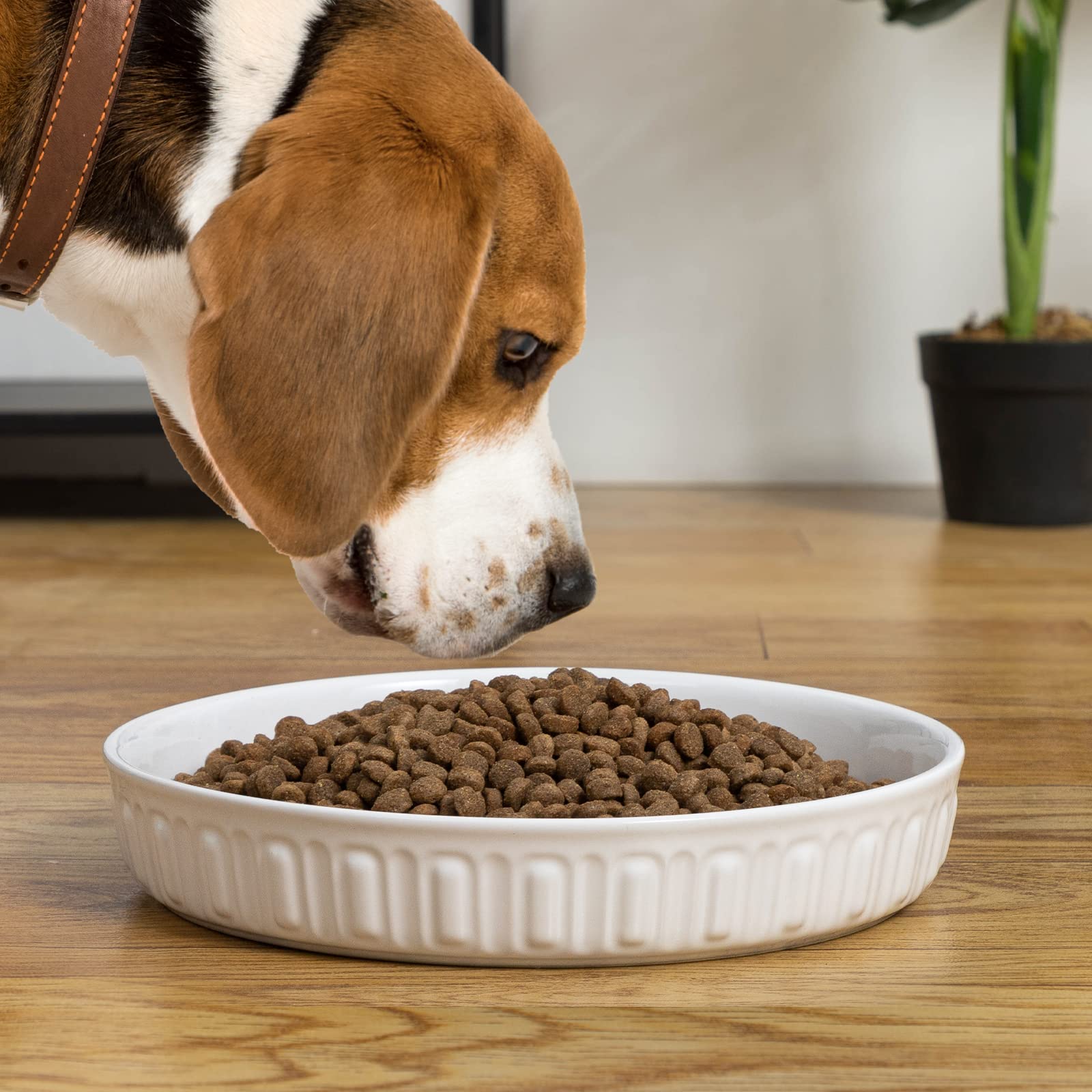FE Fun Elements 89oz capacity bowl minimizes frequent refills during meals