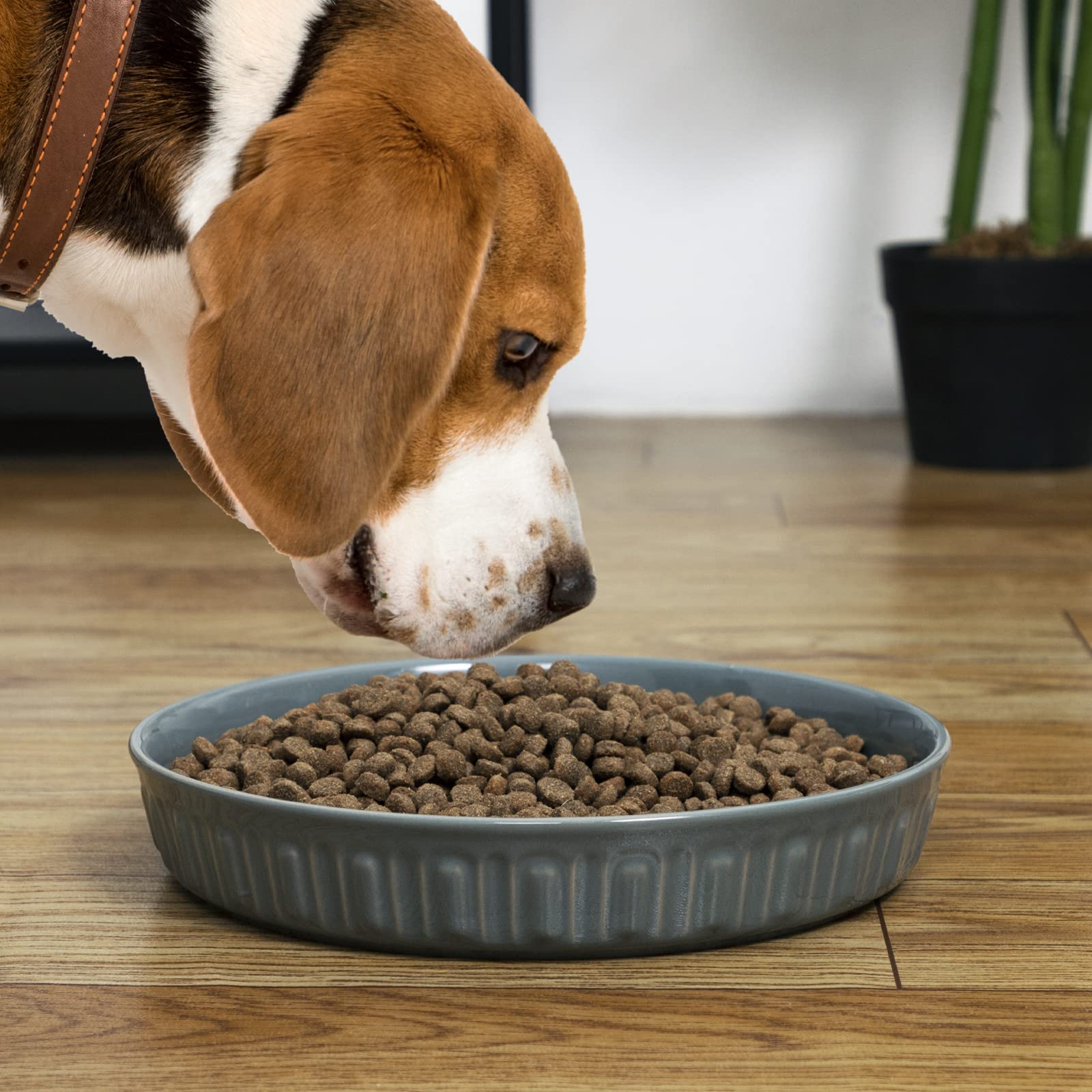 FE Fun Elements shallow dog bowls grey 89oz capacity illustration.