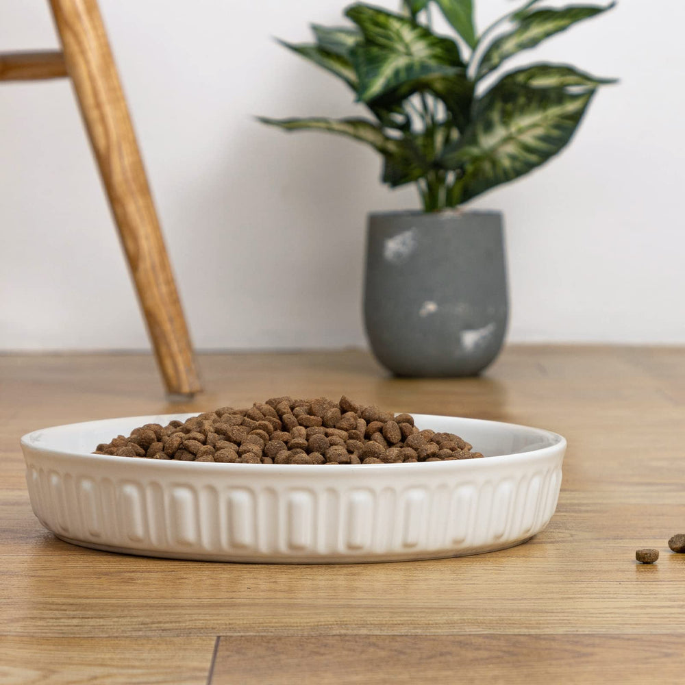 FE Fun Elements heavy ceramic bowl for durability and reduced sliding