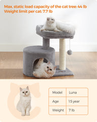 Feandrea cat tree features reinforced base for stable play.