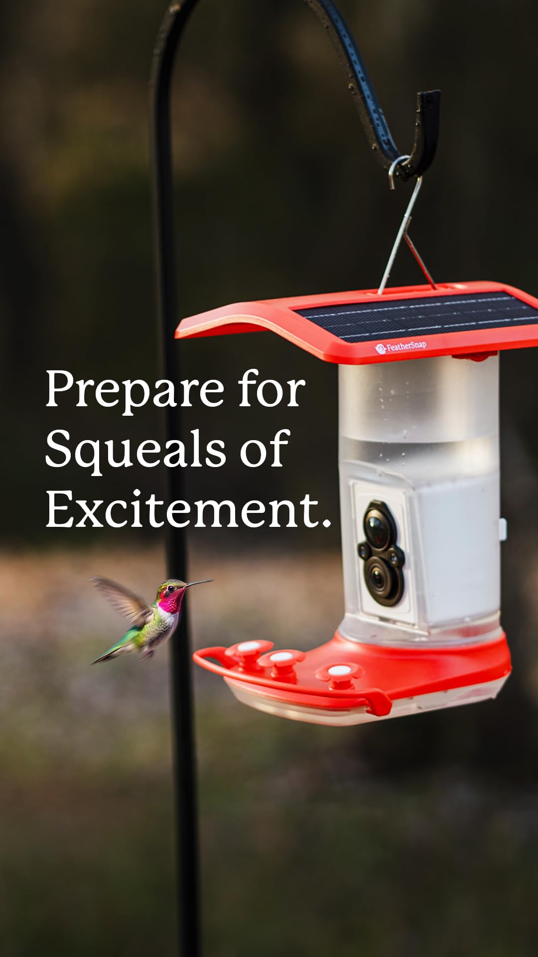 FeatherSnap garden scene captures birds in action during watching sessions.