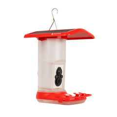 FeatherSnap solar-powered unit outdoors supports year-round hummingbird watching.