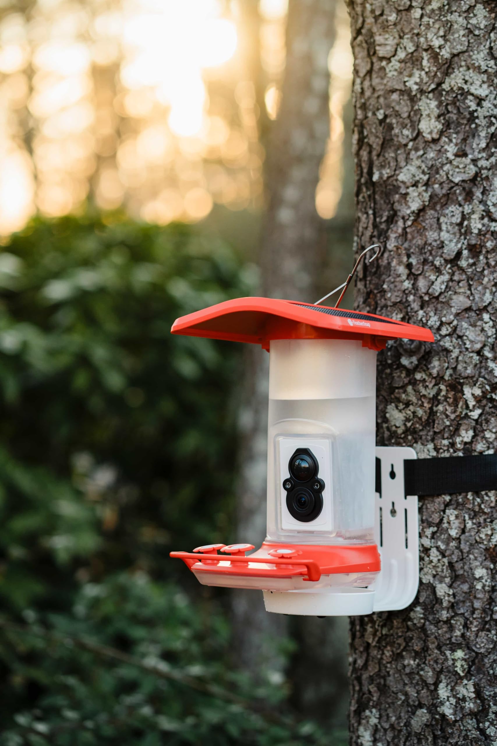 FeatherSnap feeder features three ports and 1L nectar capacity for multiple birds.