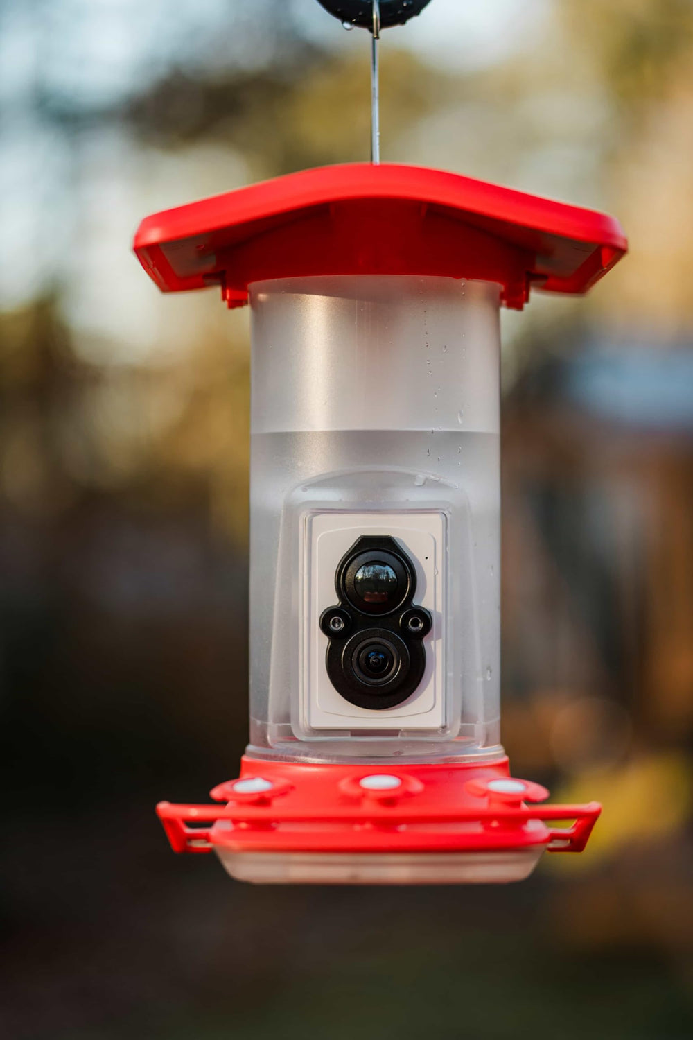 FeatherSnap WiFi app live video feed for remote birdwatching and alerts.