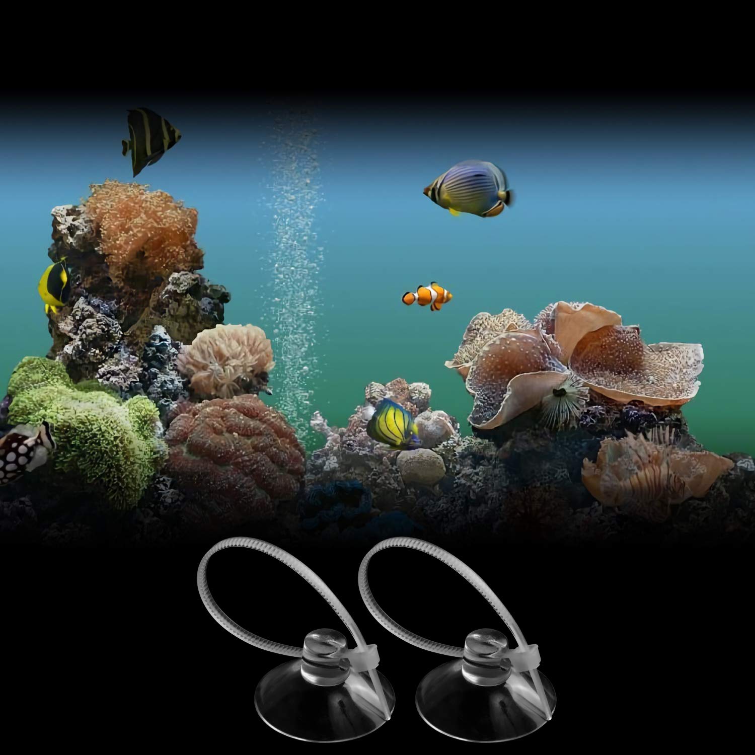FEBSNOW moss-shrimp-nest-mount keeps delicate features in place with minimal intrusion.