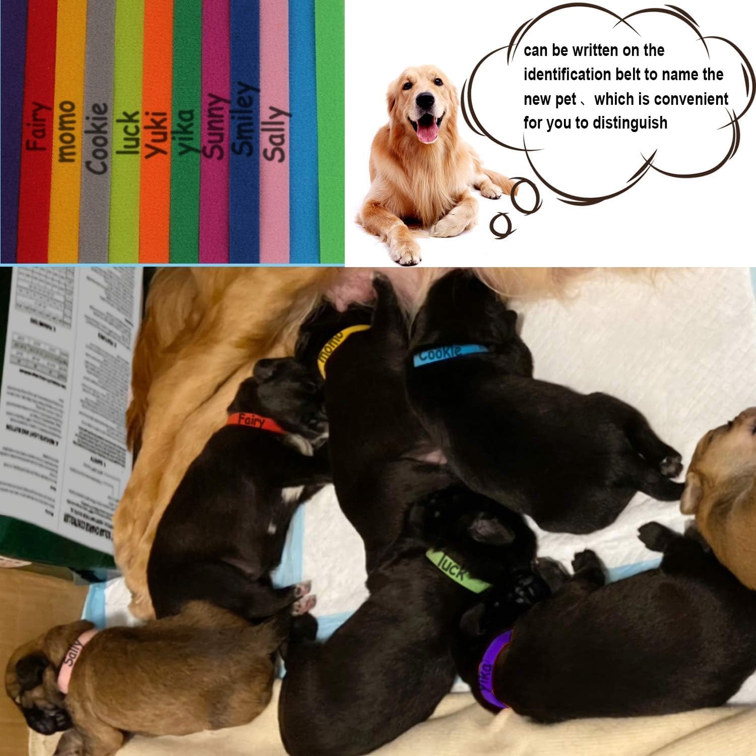 FEBSNOW puppy collars 20-color pack color variety helps quick pet differentiation