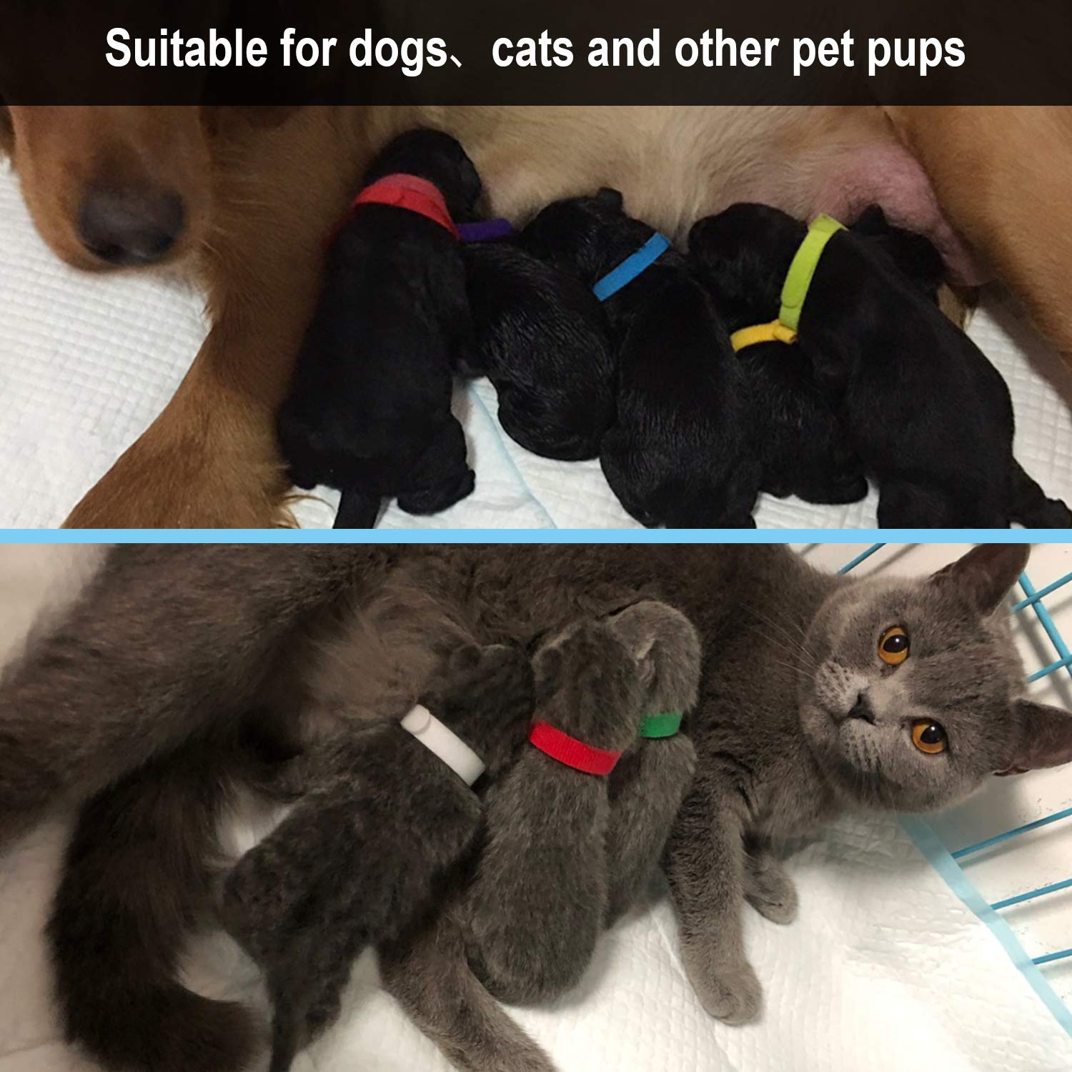 FEBSNOW safety note highlights avoiding fabric snags on clothing.