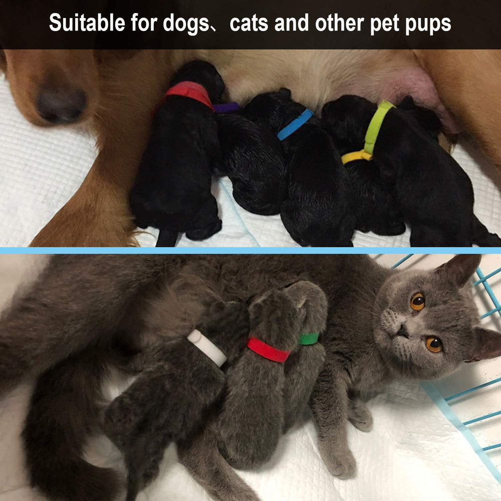 FEBSNOW safety note highlights avoiding fabric snags on clothing.