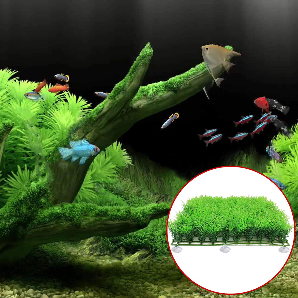 FEBSNOW shrimp nest and artificial plant display with invisible attachment