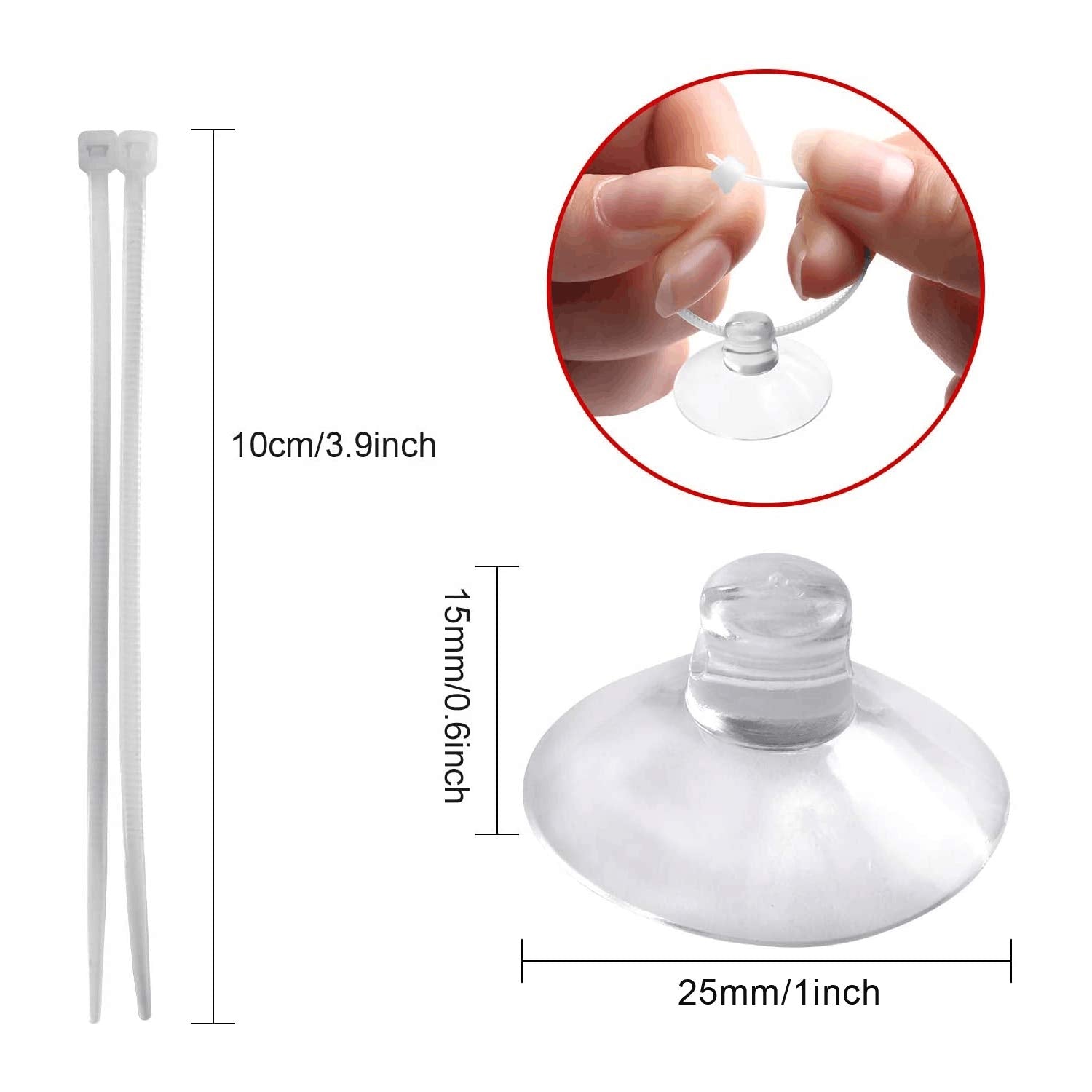 FEBSNOW suction cup clip inside-tank enables tidy, adjustable plant arrangement.