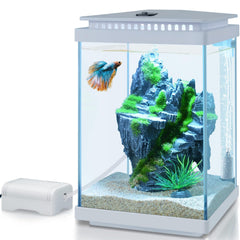 FEDOUR 1-gallon glass aquarium front view for a compact desktop betta setup.