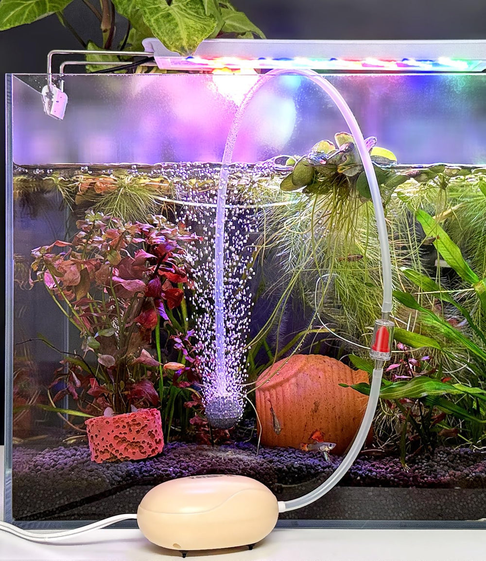 FEDOUR desktop betta shrimp tank setup shows versatile use in small freshwater or marine tanks.