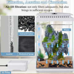 FEDOUR LED-lit aquarium enhances a vivid desktop display with plant-friendly lighting.