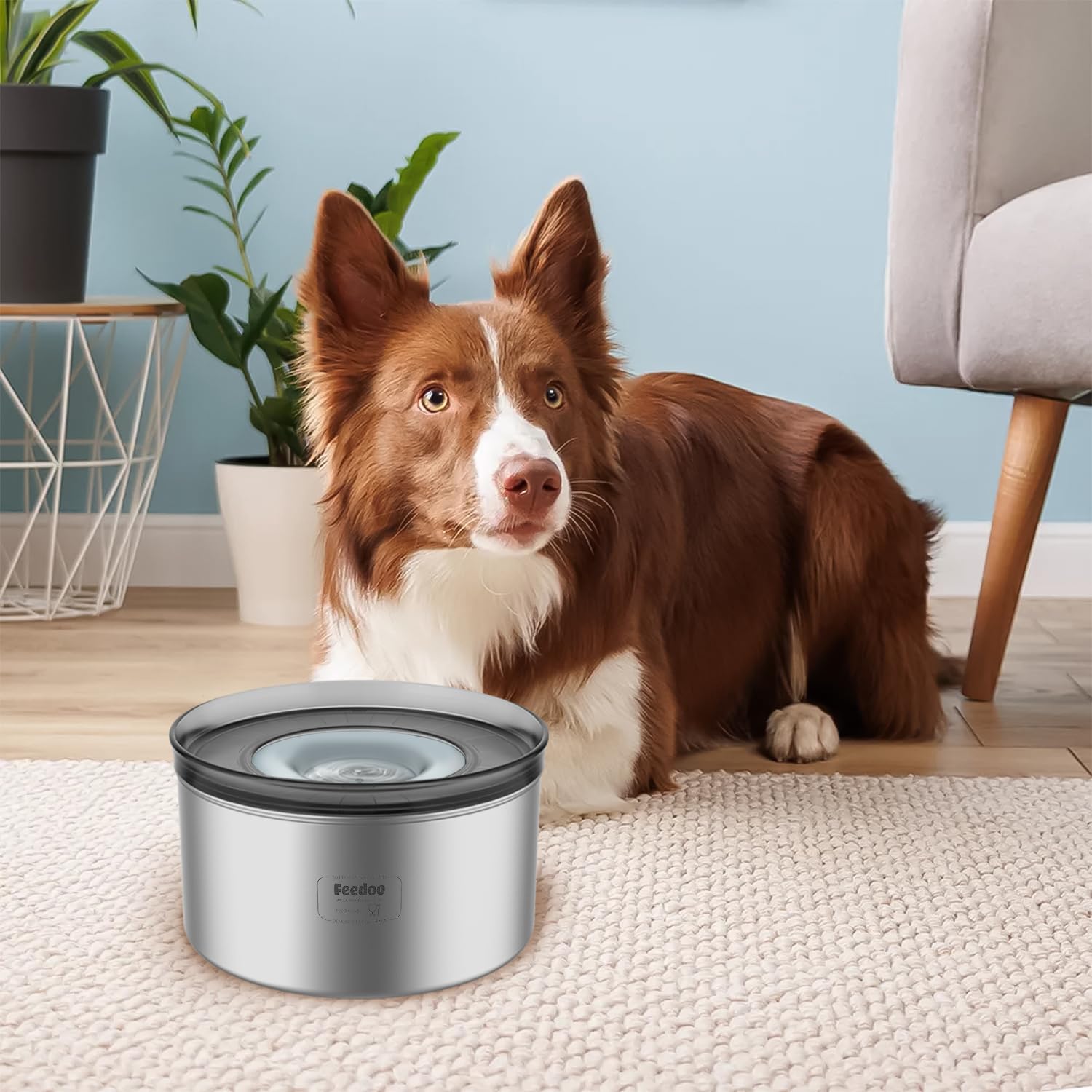 Feedoo 1-Gallon Dog Water Bowl suited for large dogs and multi-pet homes.