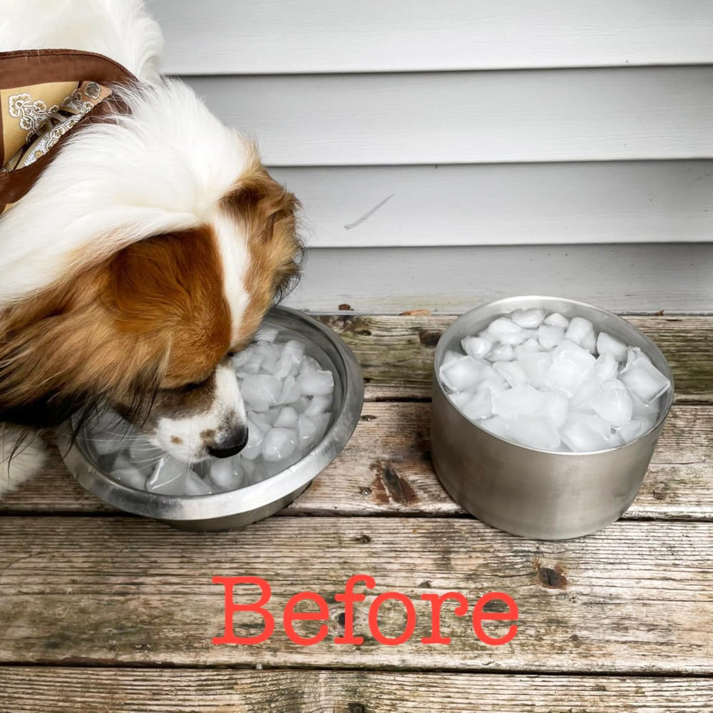 Feedoo 82oz capacity ideal for medium to large dogs' water or kibble.