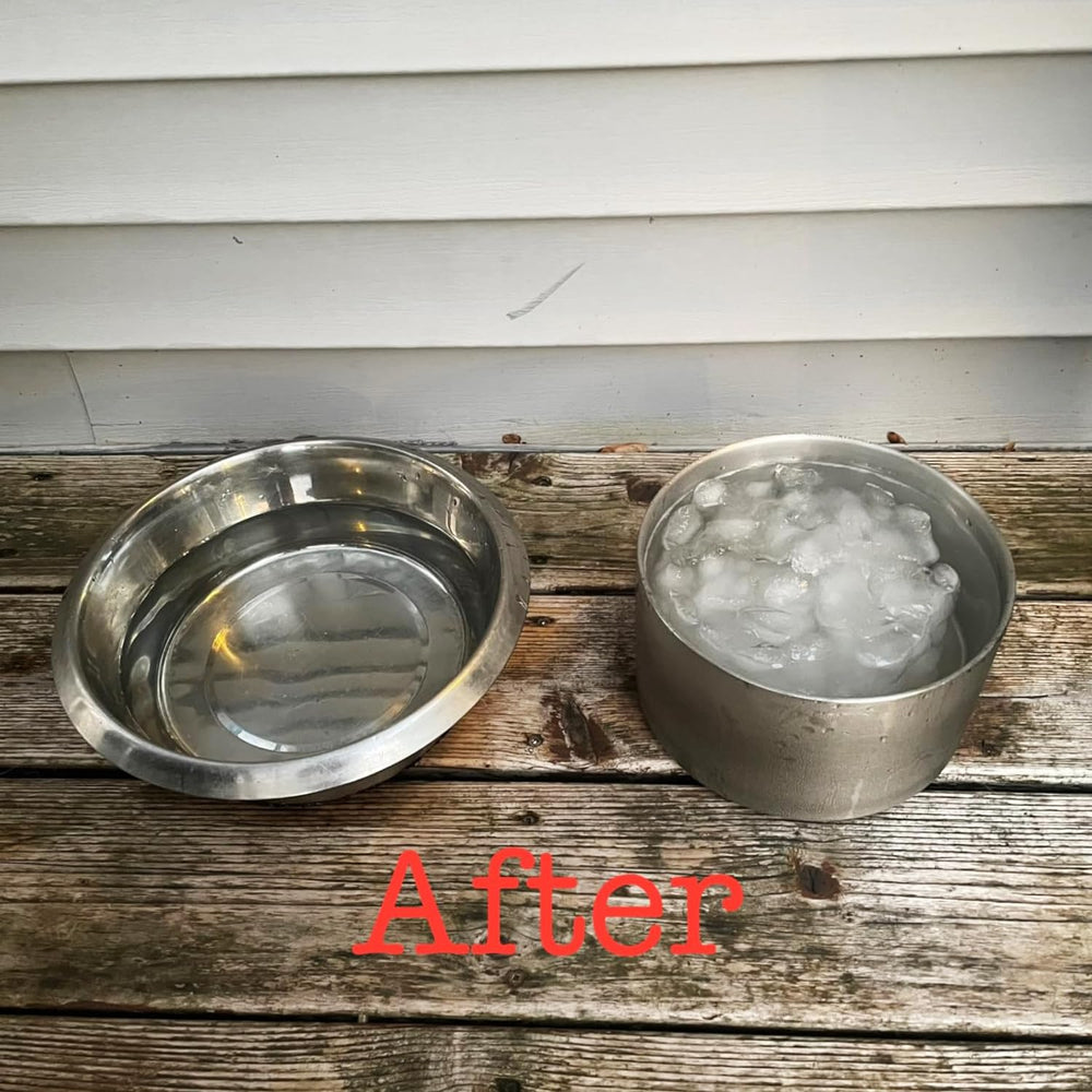 Feedoo large-breed 128oz capacity ideal for big dogs