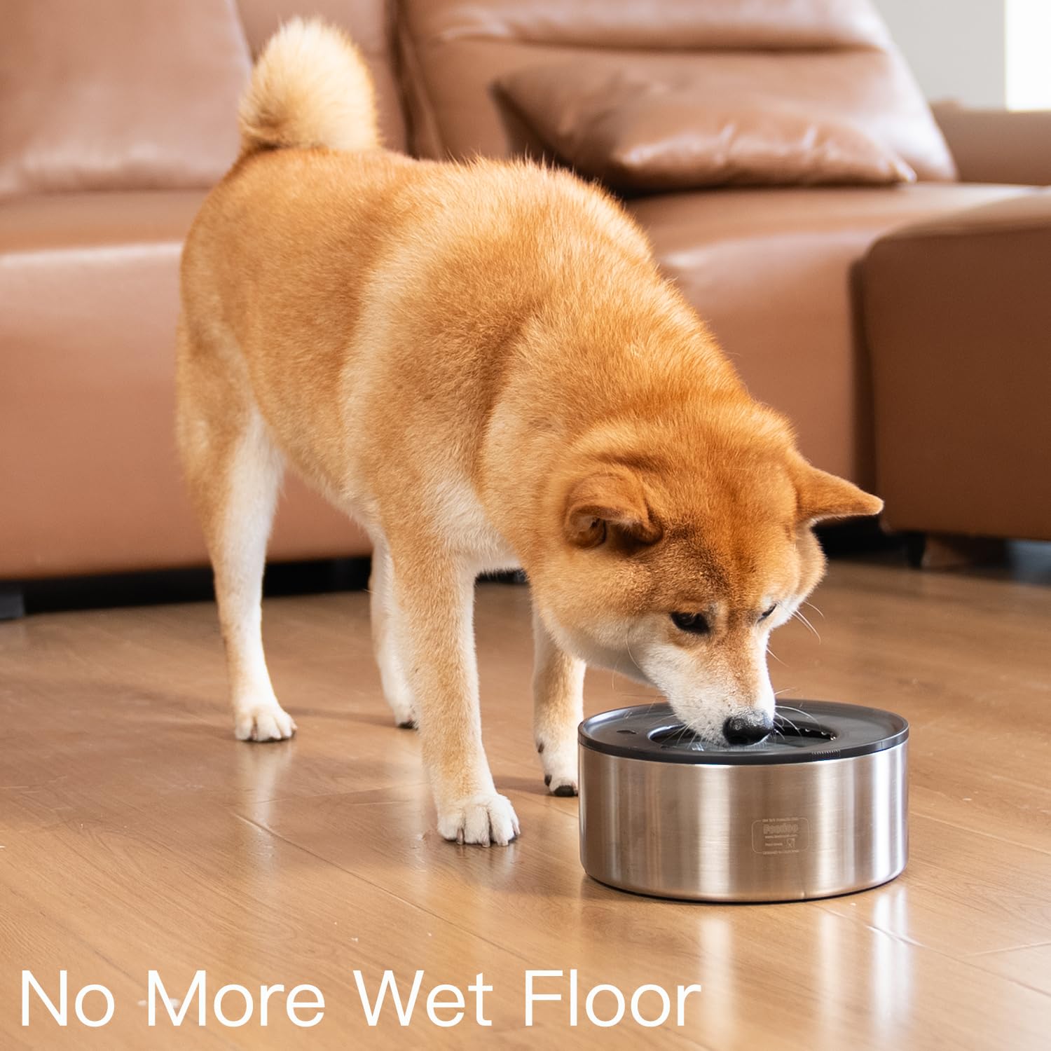 Feedoo non-slip silicone base keeps the bowl steady during drinking.
