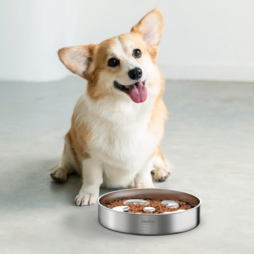 Feedoo Slow Feeder Bowl ideal for medium dogs during meals