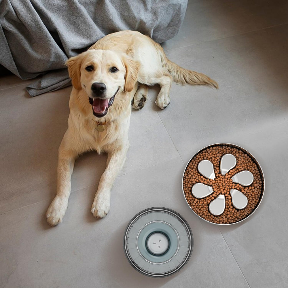 Feedoo slow feeder bowl large-breed friendly with 3 cup capacity for dry food