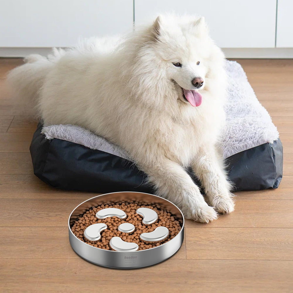 Feedoo slow feeder bowl puzzle maze design for paced eating.
