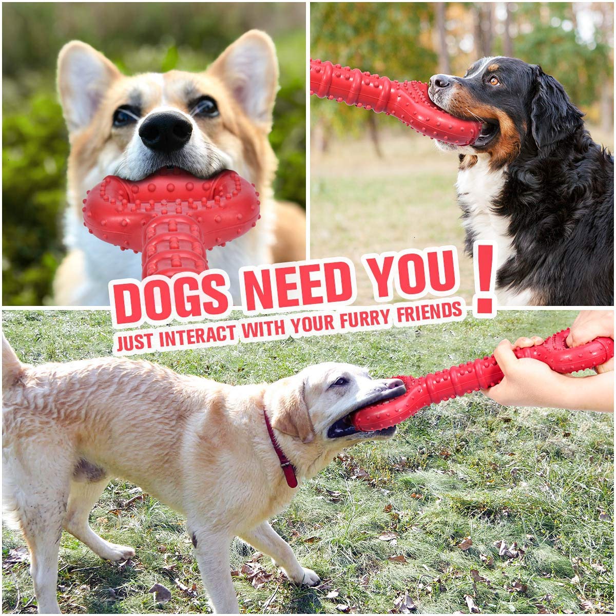 Feeko gift-ready dog toy for birthdays and holidays.
