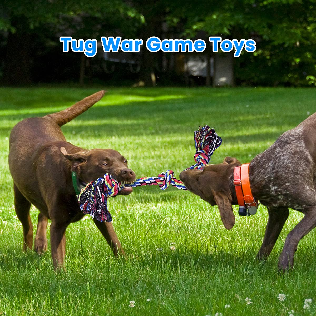 Feeko XL rope toy in tug action for aggressive chewers