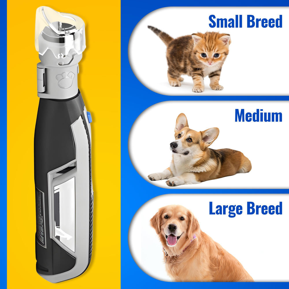 Feekoon cat-nail-care-disc-kit demonstrates gentle, controlled grinding for cats.