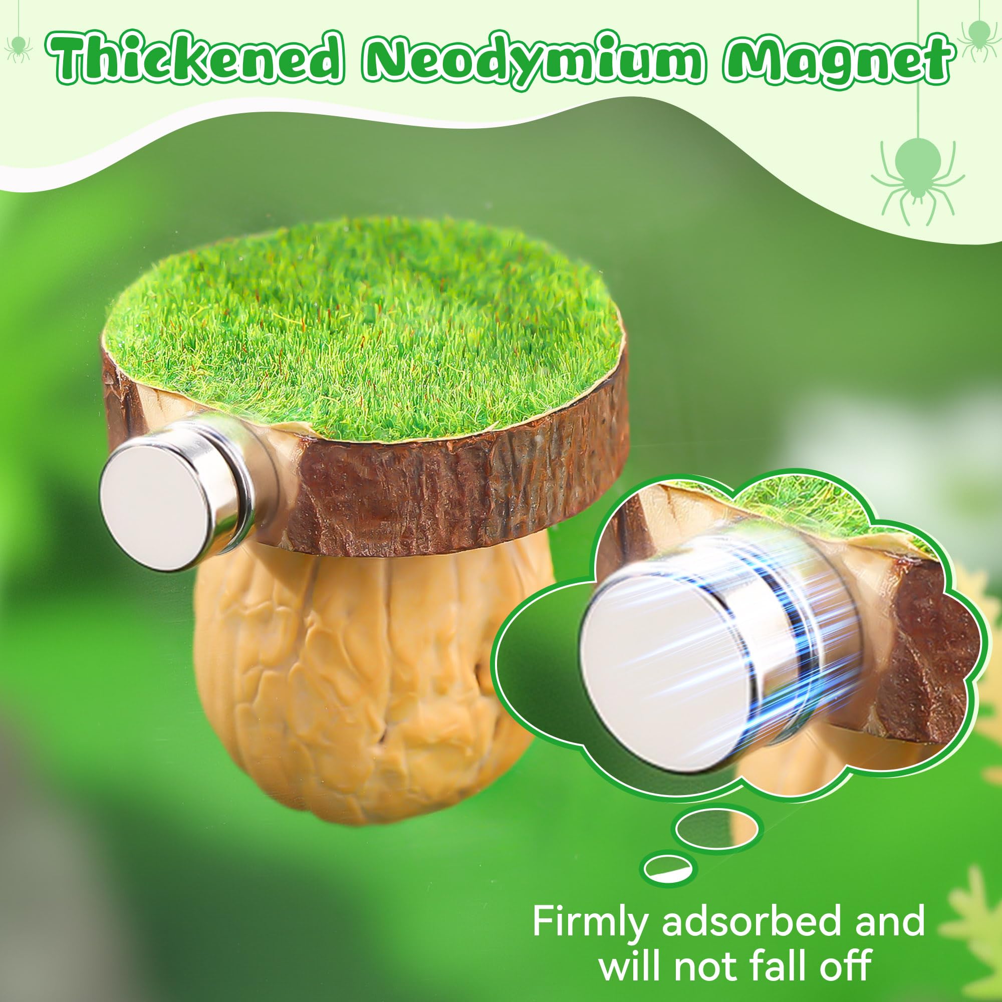 Feekoon interior with green cotton thread keeps habitat dry and clean.