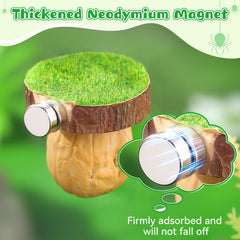 Feekoon interior with green cotton thread keeps habitat dry and clean.