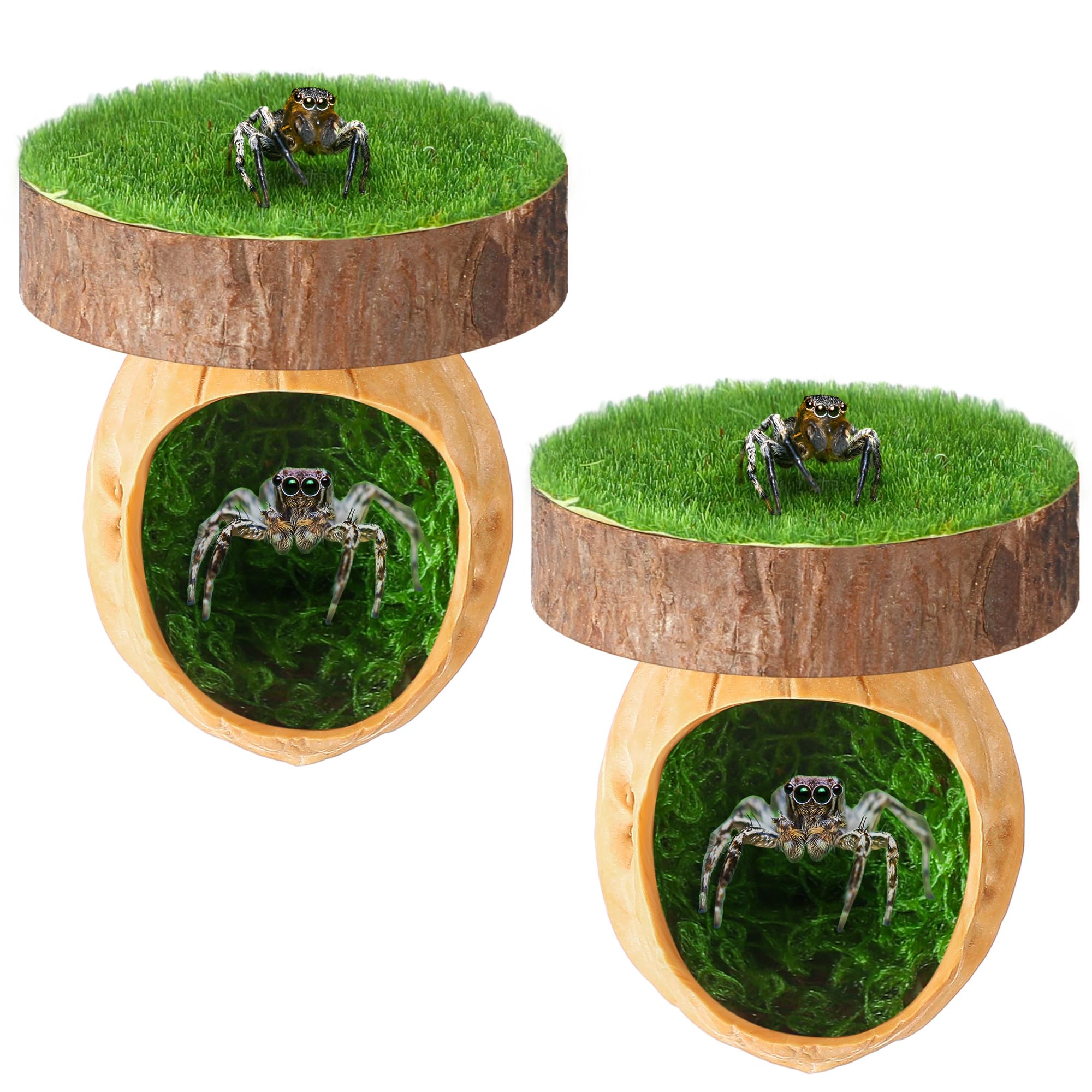 Feekoon natural walnut hideout closeup shows premium wood texture for small pets.