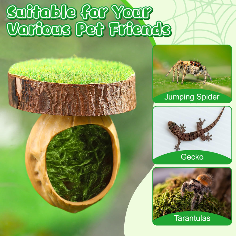 Feekoon two-pack provides versatile habitats for tarantulas, geckos, and spiders.