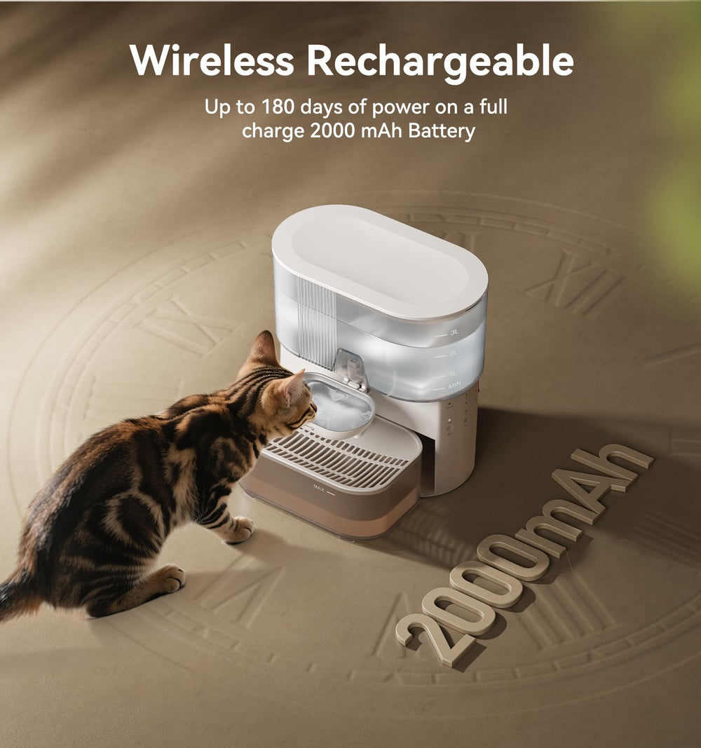 FEELNEEDY stainless steel bowl provides hygienic drinking surface